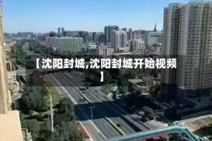【沈阳封城,沈阳封城开始视频】