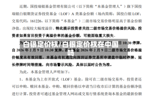白银定价权/白银定价权在中国吗