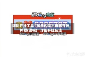 辅助开挂工具“微乐内蒙古麻将开挂神器(透视)”详细开挂玩法