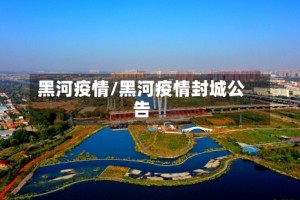 黑河疫情/黑河疫情封城公告