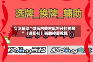 实测辅助“微乐内蒙古麻将开挂神器”（透视挂）辅助神器教程