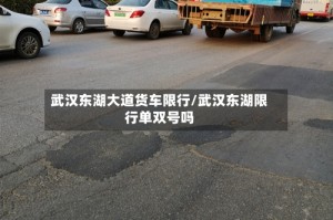 武汉东湖大道货车限行/武汉东湖限行单双号吗
