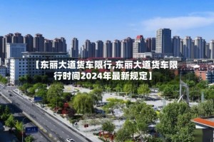 【东丽大道货车限行,东丽大道货车限行时间2024年最新规定】