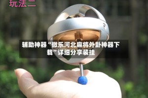 辅助神器“微乐河北麻将外卦神器下载”详细分享装挂