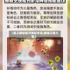 【星之破晓官方网站手游,破晓之星六星】