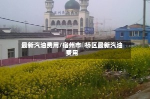 最新汽油费用/宿州市埇桥区最新汽油费用