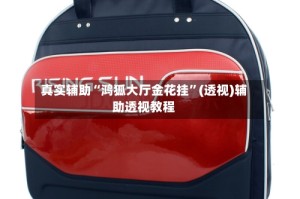 真实辅助“鸿狐大厅金花挂”(透视)辅助透视教程