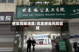 感染高峰进度/高度感染风险区域