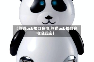 【熊猫usb接口充电,熊猫usb接口充电没反应】