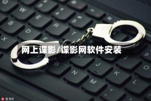 网上谍影/谍影网软件安装
