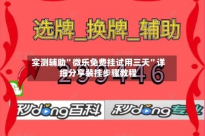 实测辅助”微乐免费挂试用三天”详细分享装挂步骤教程