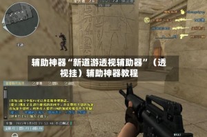 辅助神器“新道游透视辅助器”（透视挂）辅助神器教程