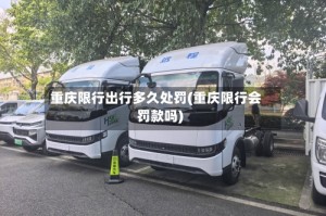 重庆限行出行多久处罚(重庆限行会罚款吗)
