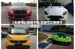 【车辆可以换牌子吗,车辆可以换牌子吗现在】