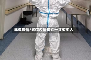 武汉疫情/武汉疫情伤亡一共多少人