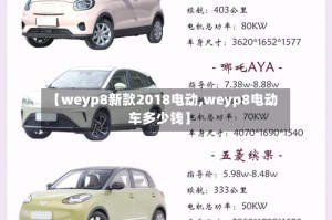 【weyp8新款2018电动,weyp8电动车多少钱】