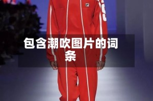 包含潮吹图片的词条