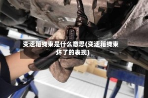 变速箱线束是什么意思(变速箱线束坏了的表现)