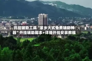 开挂辅助工具“家乡大贰免费辅助神器”开挂辅助脚本+详细开挂安装教程