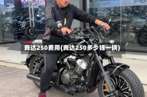 奔达250费用(奔达250多少钱一辆)