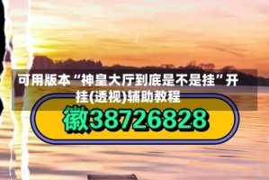 可用版本“神皇大厅到底是不是挂”开挂(透视)辅助教程