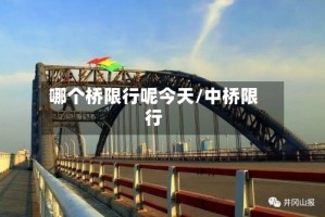 哪个桥限行呢今天/中桥限行
