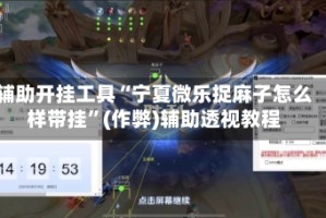 辅助开挂工具“宁夏微乐捉麻子怎么样带挂”(作弊)辅助透视教程