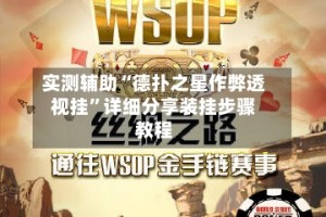 实测辅助“德扑之星作弊透视挂”详细分享装挂步骤教程