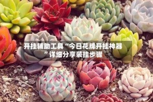 开挂辅助工具“今日花牌开挂神器”详细分享装挂步骤