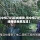 【雪中悍刀行在线播放,雪中悍刀行在线播放免费高清】