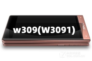 w309(W3091)