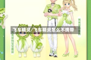 飞车精灵/飞车精灵怎么不携带