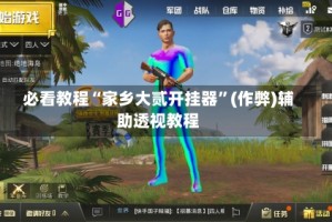 必看教程“家乡大贰开挂器”(作弊)辅助透视教程