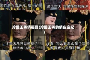 冷酷王爷俏福晋(冷酷王爷的俏皮宠妃)