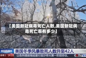 【美国新冠病毒死亡人数,美国新冠病毒死亡率有多少】