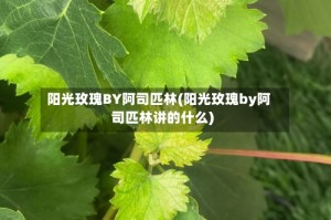 阳光玫瑰BY阿司匹林(阳光玫瑰by阿司匹林讲的什么)