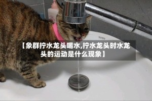 【象群拧水龙头喝水,拧水龙头时水龙头的运动是什么现象】
