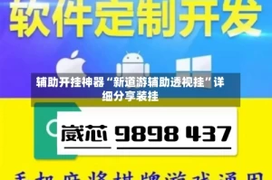 辅助开挂神器“新道游辅助透视挂”详细分享装挂