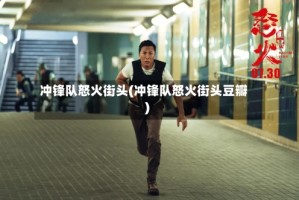 冲锋队怒火街头(冲锋队怒火街头豆瓣)