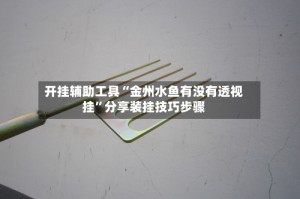 开挂辅助工具“金州水鱼有没有透视挂”分享装挂技巧步骤