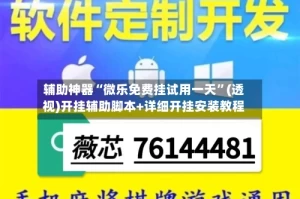 辅助神器“微乐免费挂试用一天”(透视)开挂辅助脚本+详细开挂安装教程