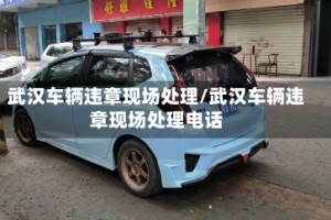 武汉车辆违章现场处理/武汉车辆违章现场处理电话