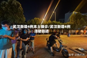 武汉新增4例本土确诊/武汉新增4例活动轨迹