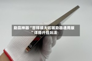 助赢神器“吉祥填大坑辅助器通用版”详细开挂玩法