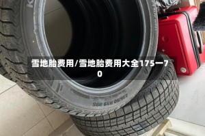 雪地胎费用/雪地胎费用大全175一70