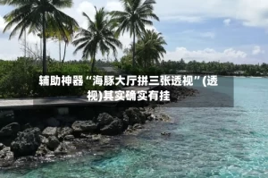辅助神器“海豚大厅拼三张透视”(透视)其实确实有挂
