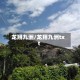 龙翔九洲/龙翔九洲txt