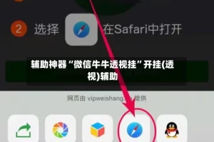 辅助神器“微信牛牛透视挂”开挂(透视)辅助