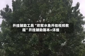 开挂辅助工具“欢聚水鱼开挂视频教程”开挂辅助脚本+详细