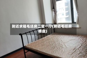 附近求租毛坯房二室一厅(附近毛坯房楼盘)